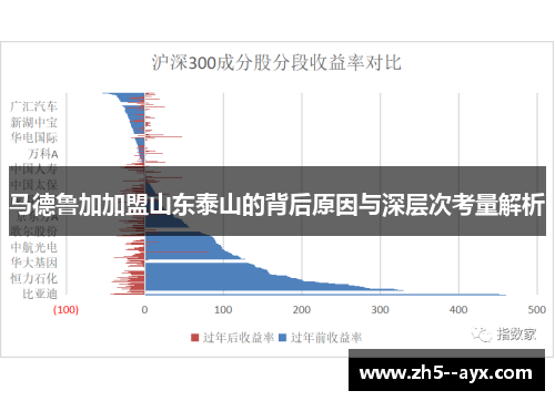 马德鲁加加盟山东泰山的背后原因与深层次考量解析 马德鲁加加盟山东泰山的背后原因与深层次考量解析