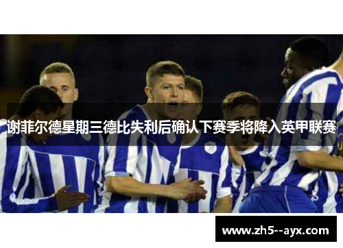 谢菲尔德星期三德比失利后确认下赛季将降入英甲联赛