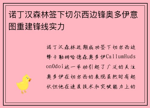 诺丁汉森林签下切尔西边锋奥多伊意图重建锋线实力 诺丁汉森林签下切尔西边锋奥多伊意图重建锋线实力